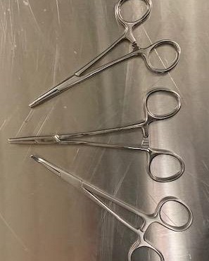 Surgical Forceps (Medium)